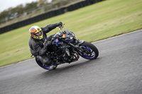 Middle Group Blue Bikes